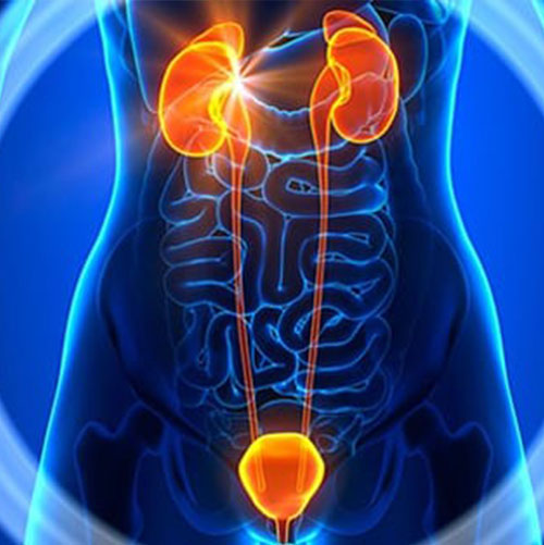 Urology & Andrology Treatment In India